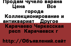 Продам чучело варана › Цена ­ 15 000 - Все города Коллекционирование и антиквариат » Другое   . Карачаево-Черкесская респ.,Карачаевск г.